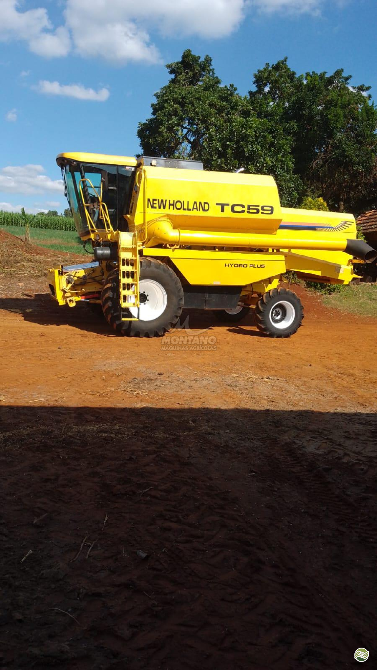 COLHEITADEIRA NEW HOLLAND TC 59 Montano Máquinas Agrícolas LAGOA VERMELHA RIO GRANDE DO SUL RS